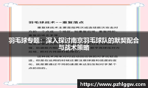 羽毛球专题：深入探讨南京羽毛球队的默契配合与战术策略